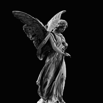 Dominik Control Headshot